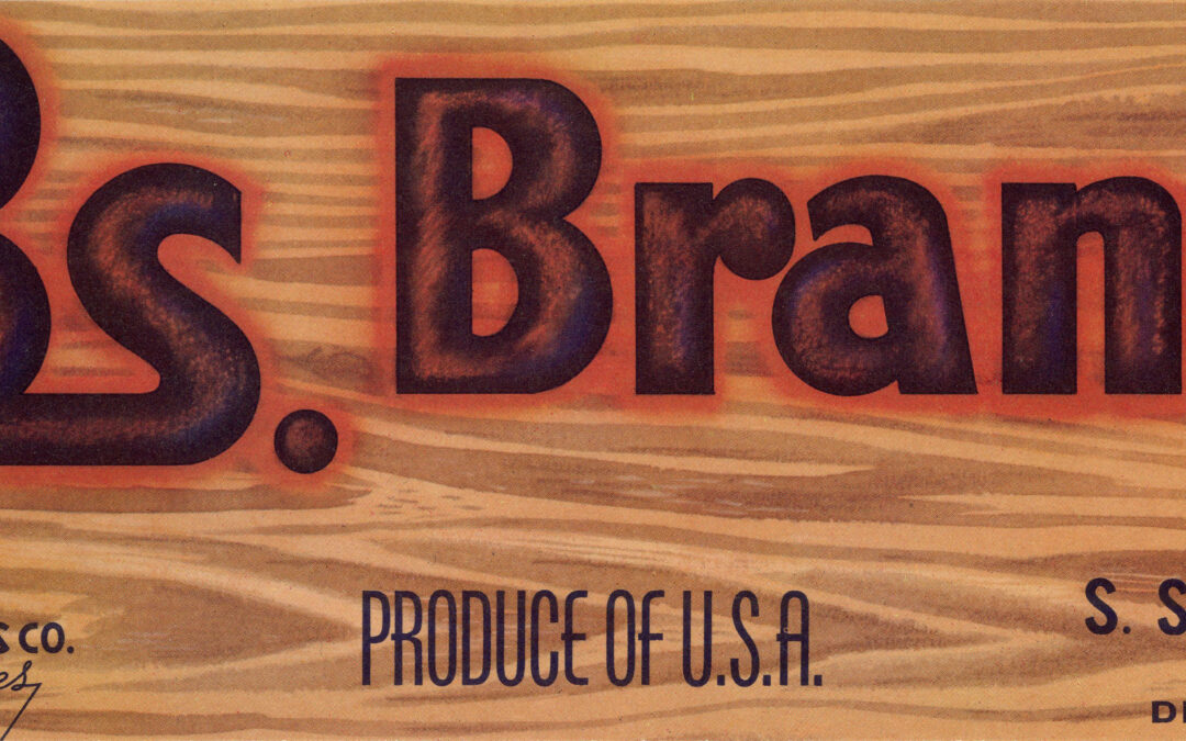 3s. Brand