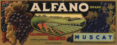 Alfano