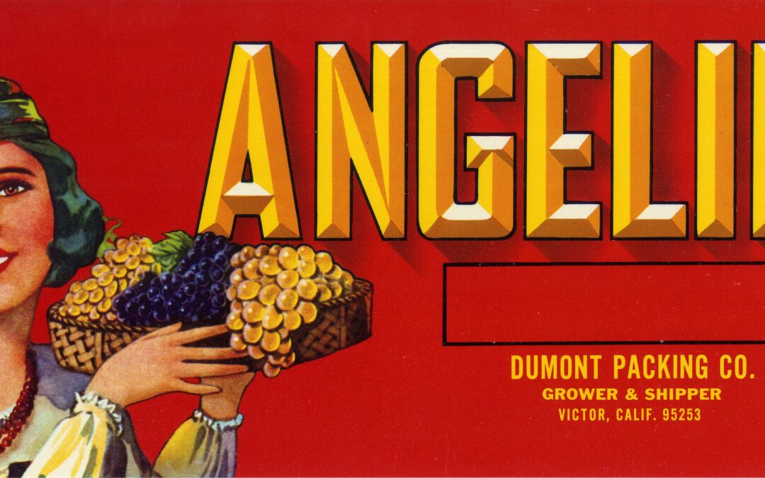 Angelina-5