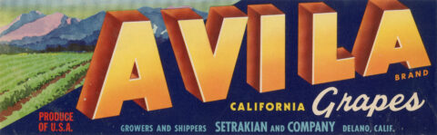 Avila