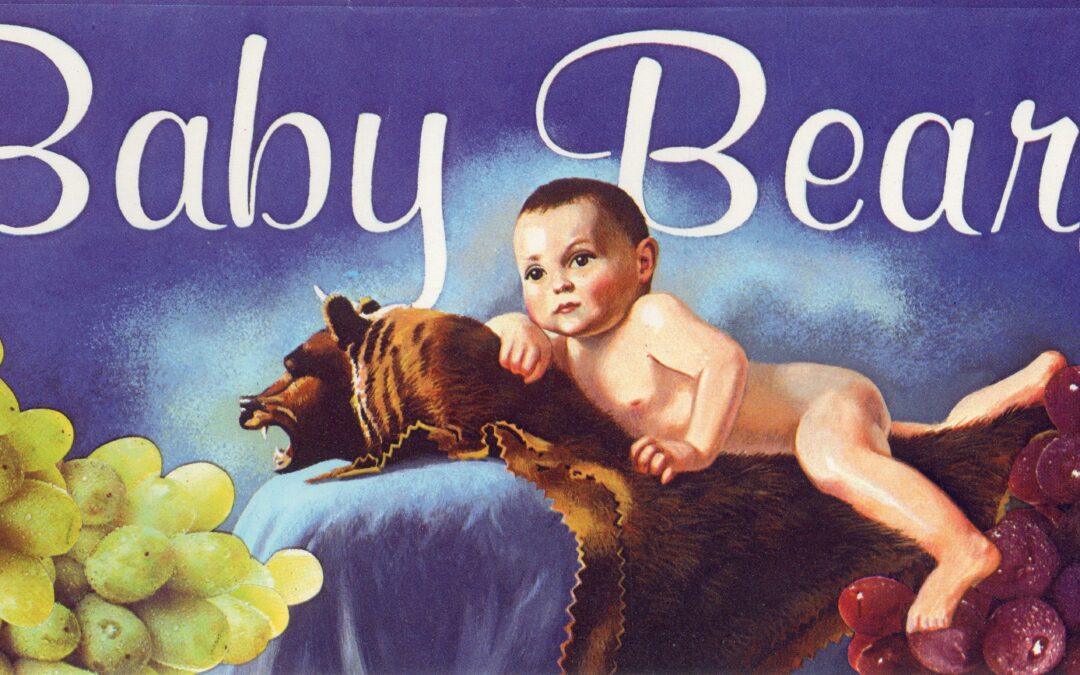 Baby Bear-1