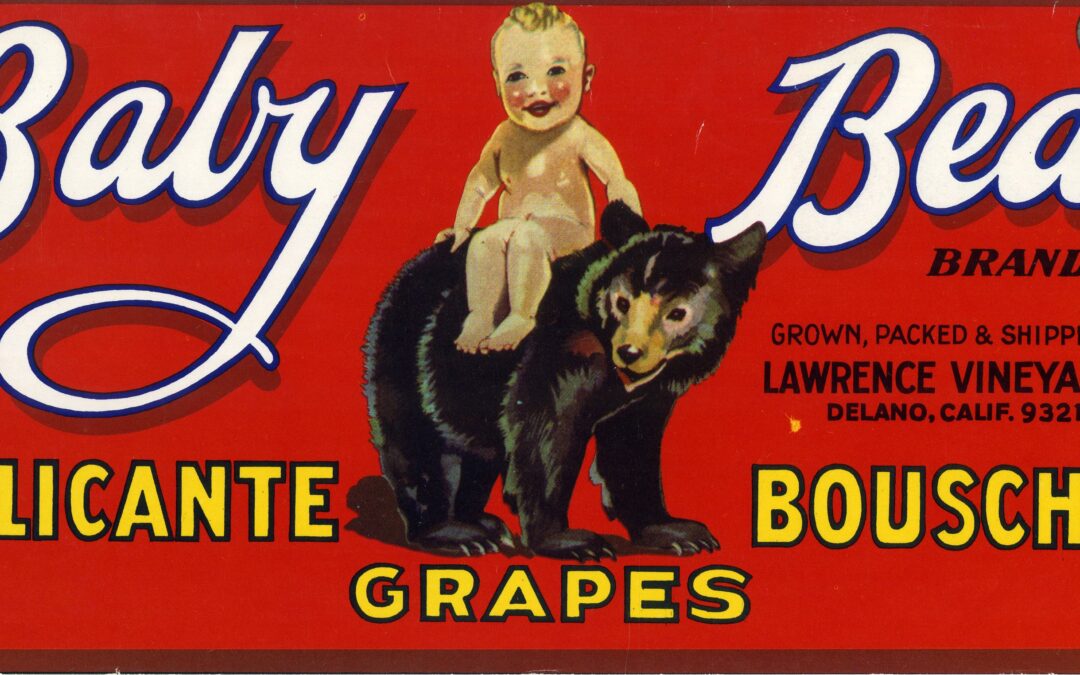 Baby Bear-2