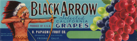 Black Arrow