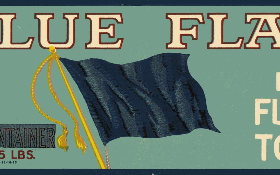 Blue Flag-1