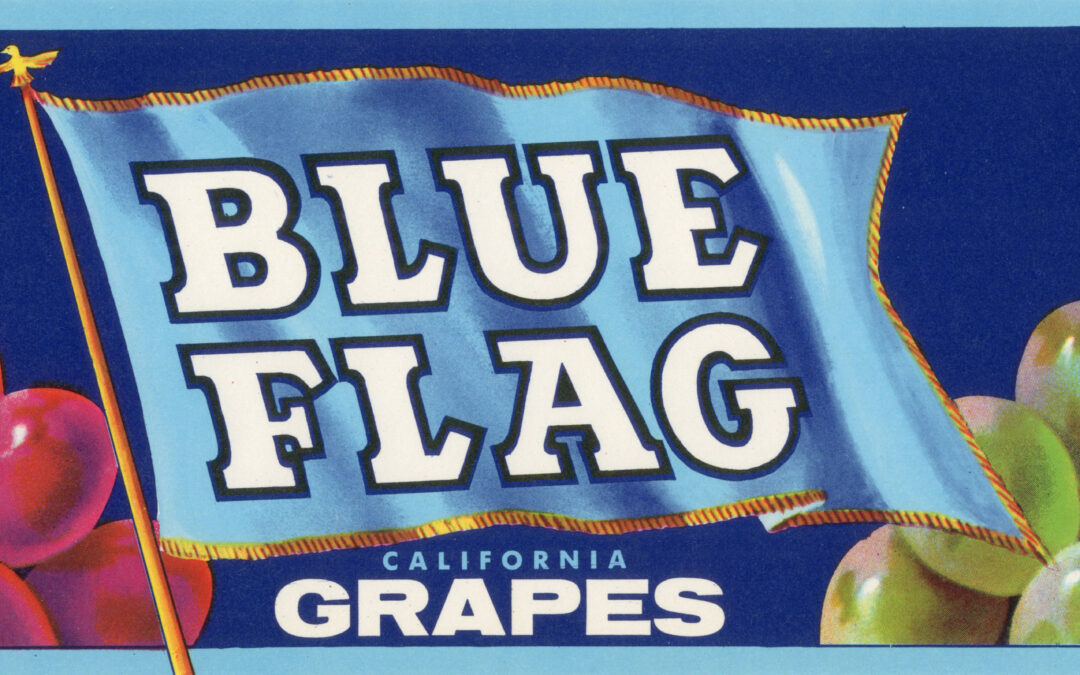 Blue Flag-3