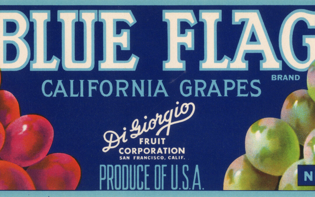 Blue Flag-4