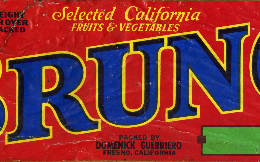 Bruno-1