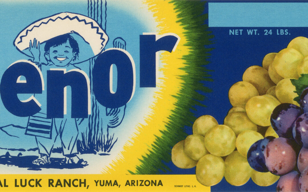 C Senor