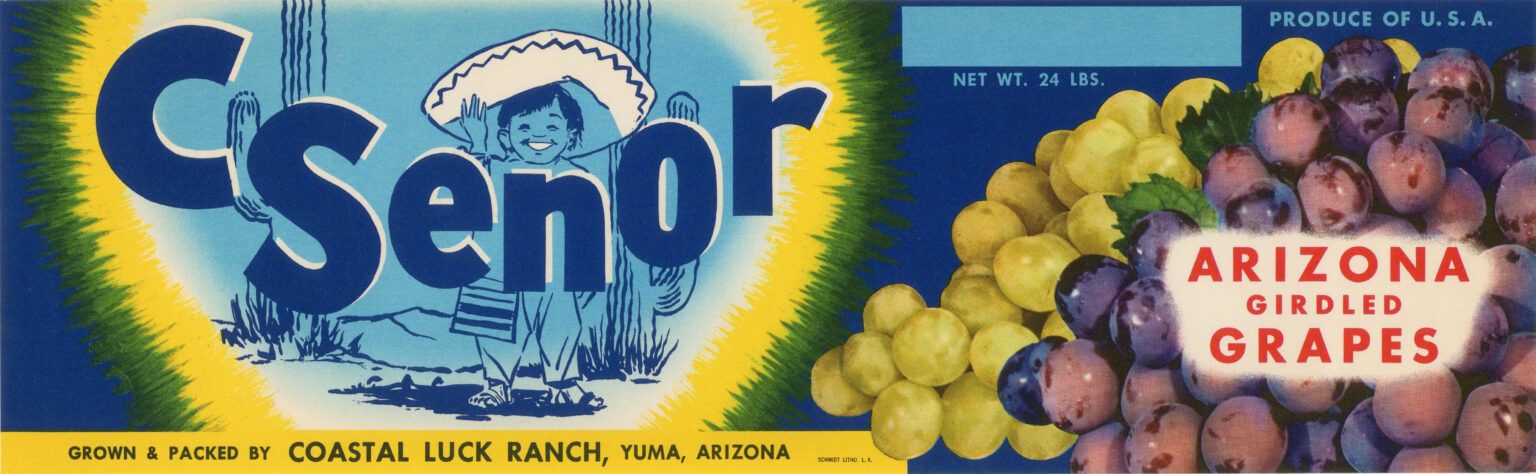 C Senor C Senor