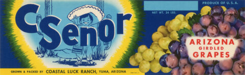 C Senor