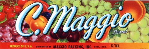 C.Maggio-2