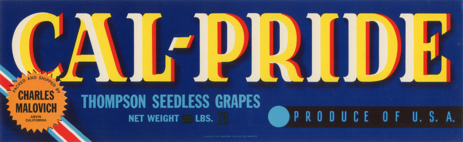 Cal-Pride-2