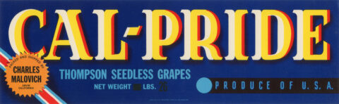 Cal-Pride-2