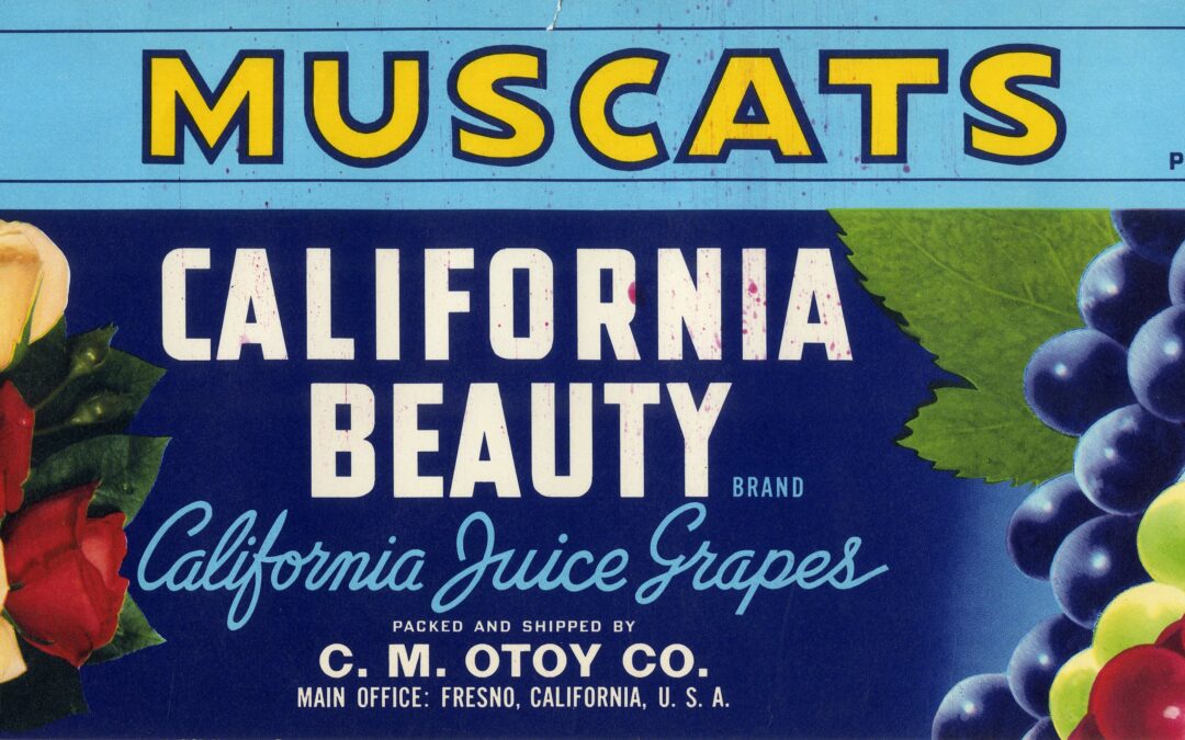 California Beauty-5