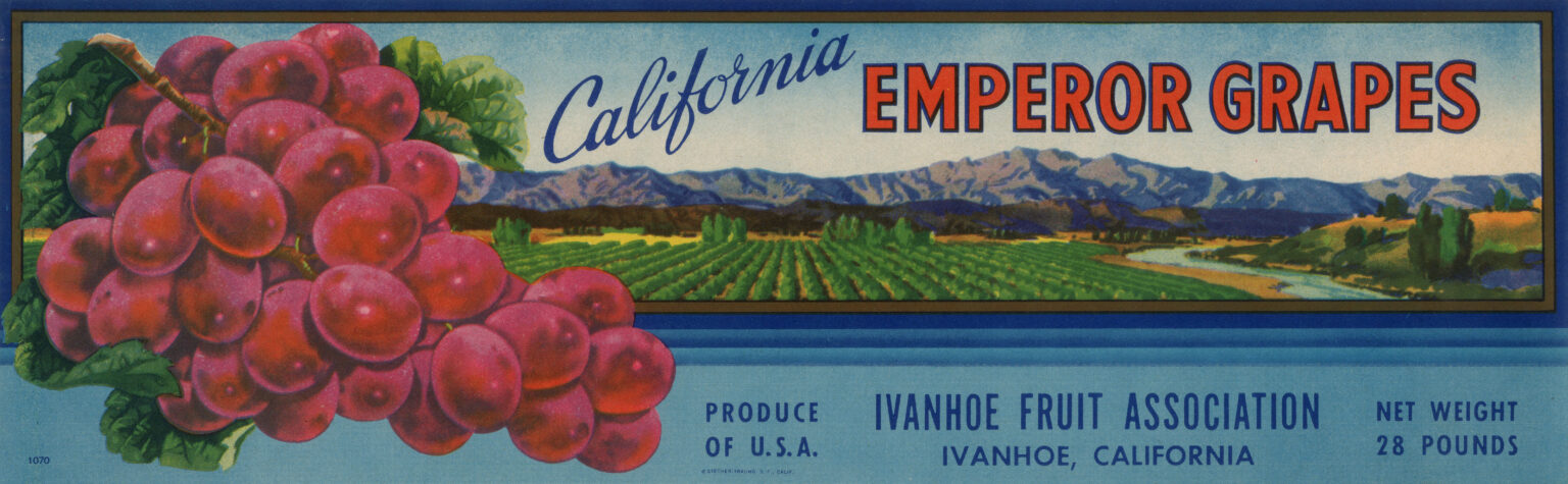 California Emperor Grapes-2