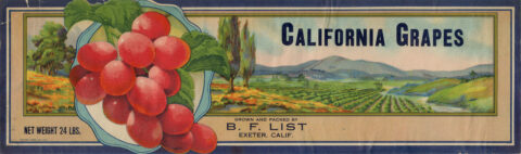 California Grapes