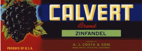 Calvert