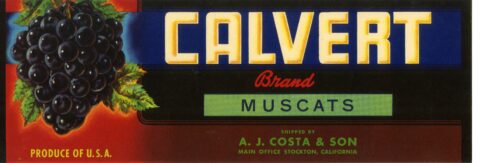 Calvert