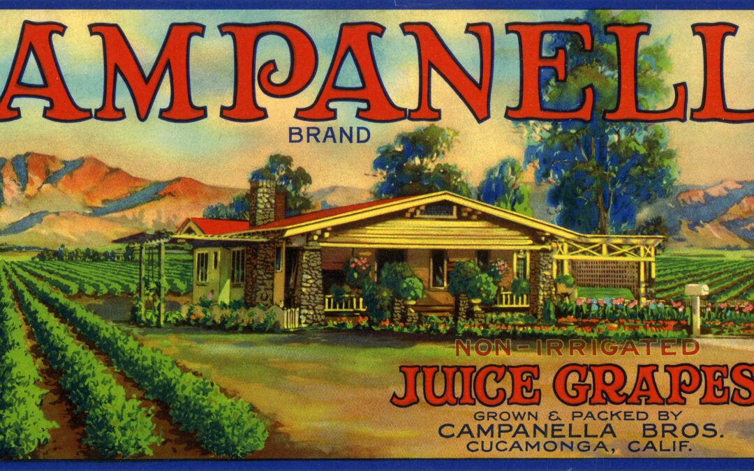 Campanella