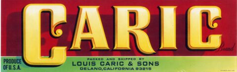 Caric
