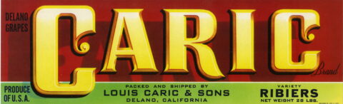 Caric