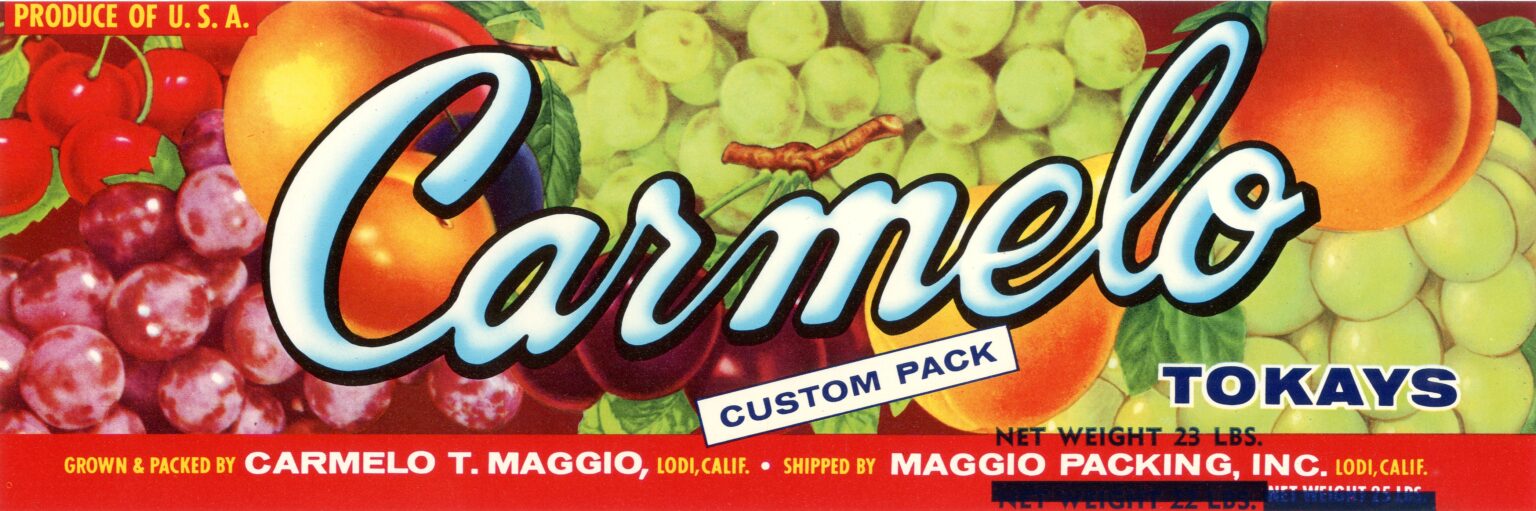 Carmelo