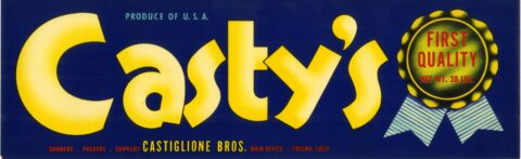 Casty s