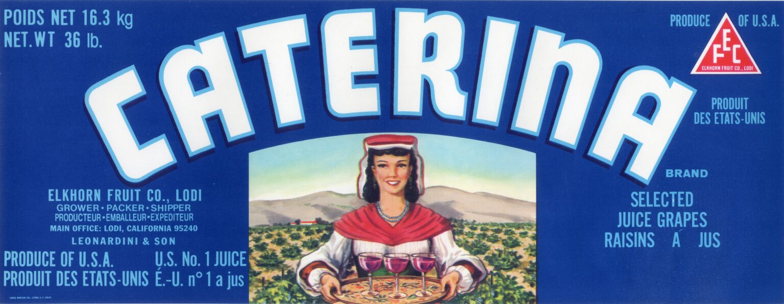 Caterina