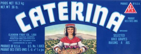 Caterina