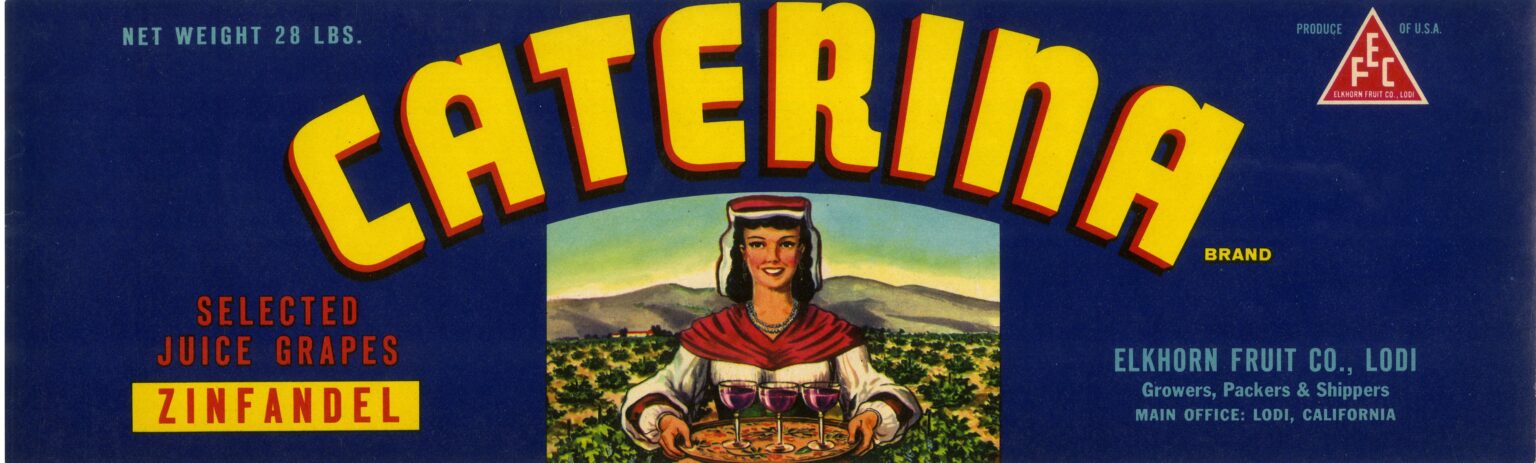 Caterina