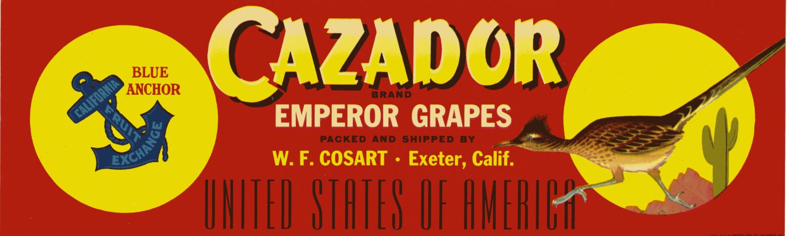 Cazador