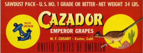 Cazador
