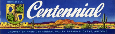 Centennial