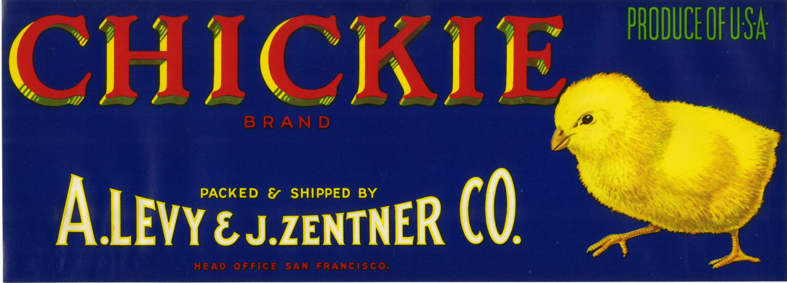 Chickie Chickie