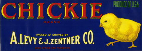 Chickie