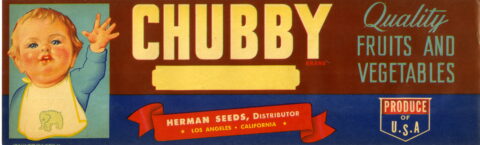 Chubby