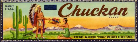 Chuckan