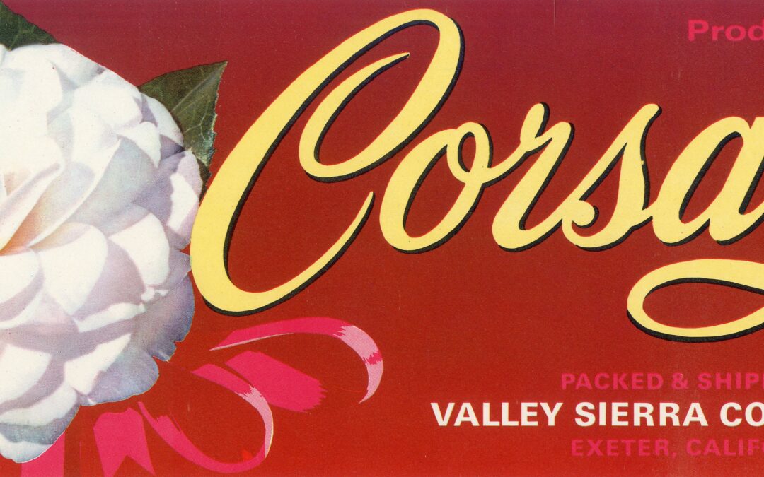 Corsage