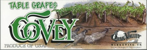 Covey