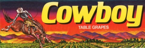 Cowboy