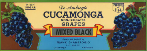 Cucamonga