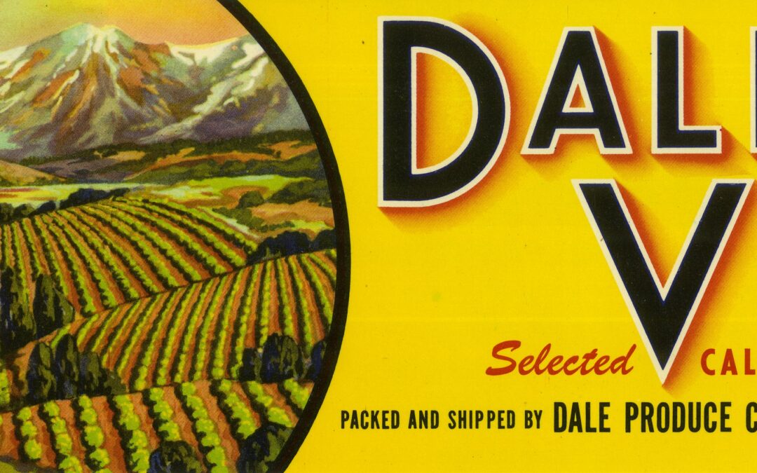 Dale View