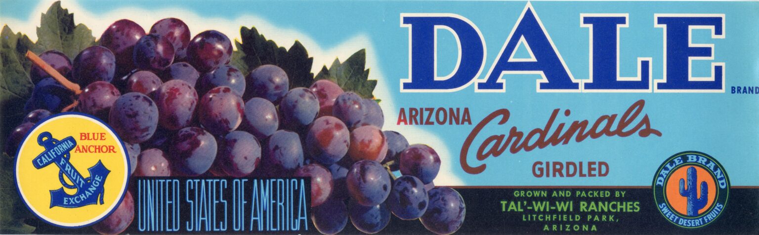 Dale