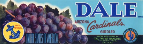 Dale