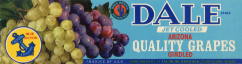 Dale-4