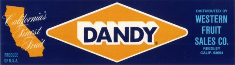 Dandy