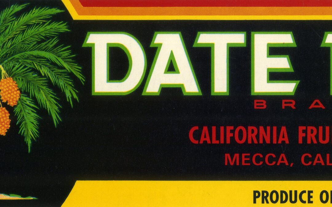 Date Palm
