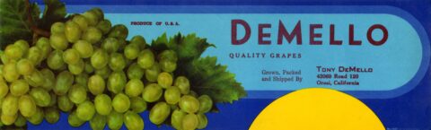 DeMello