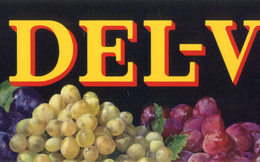 Del-Vin