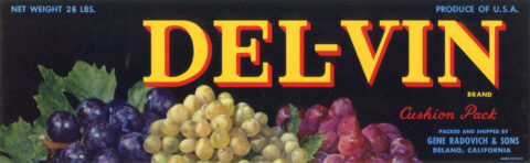 Del-Vin